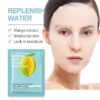 植物面膜系列Facial mask 补水保湿面膜