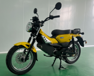 MTS2500D电动摩托车